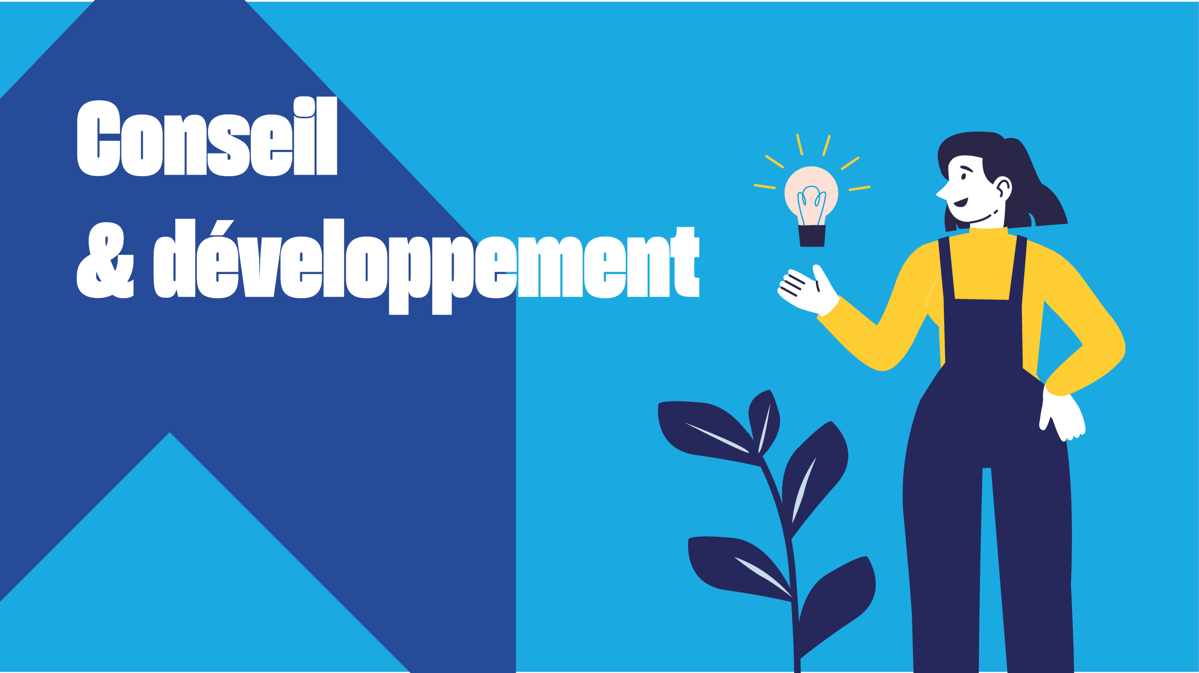 Conseil & développement